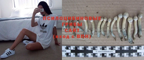 спиды Абаза