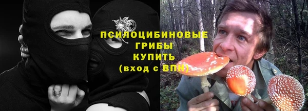 спиды Абаза